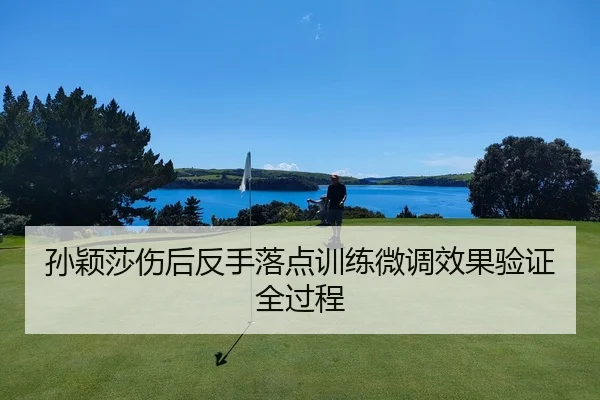 孙颖莎伤后反手落点训练微调效果验证全过程